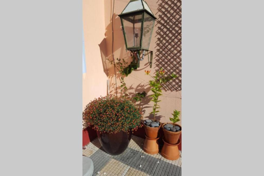 Raposeira De Sao Joao, The Feeling Of Peace, Space And Quiet, Whole Villa Is Yours Fajã da Ovelha Extérieur photo