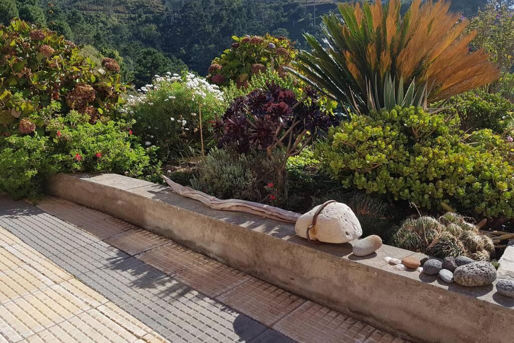 Raposeira De Sao Joao, The Feeling Of Peace, Space And Quiet, Whole Villa Is Yours Fajã da Ovelha Extérieur photo
