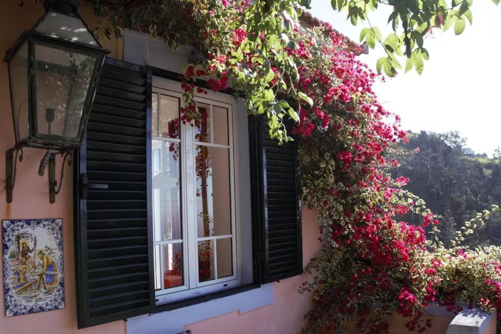 Raposeira De Sao Joao, The Feeling Of Peace, Space And Quiet, Whole Villa Is Yours Fajã da Ovelha Extérieur photo