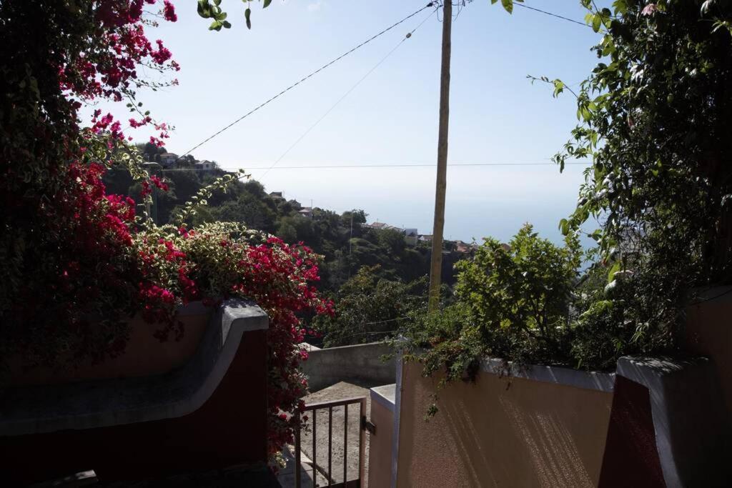 Raposeira De Sao Joao, The Feeling Of Peace, Space And Quiet, Whole Villa Is Yours Fajã da Ovelha Extérieur photo