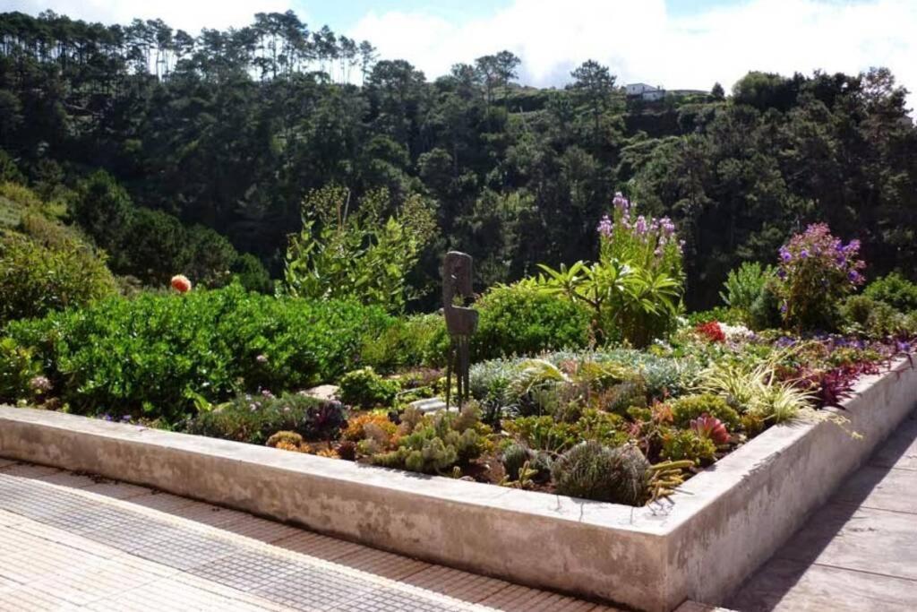 Raposeira De Sao Joao, The Feeling Of Peace, Space And Quiet, Whole Villa Is Yours Fajã da Ovelha Extérieur photo
